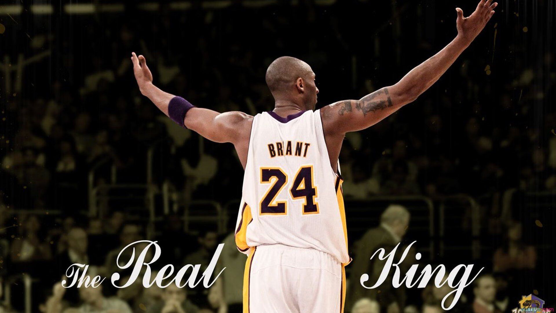 _魔术队球员配合默契，战胜强敌_，魔术队队史最佳阵容